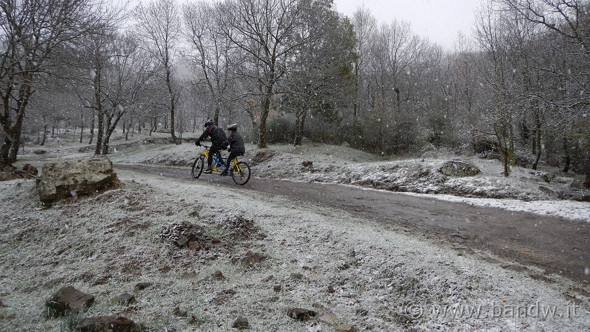 DSCN6239.jpg